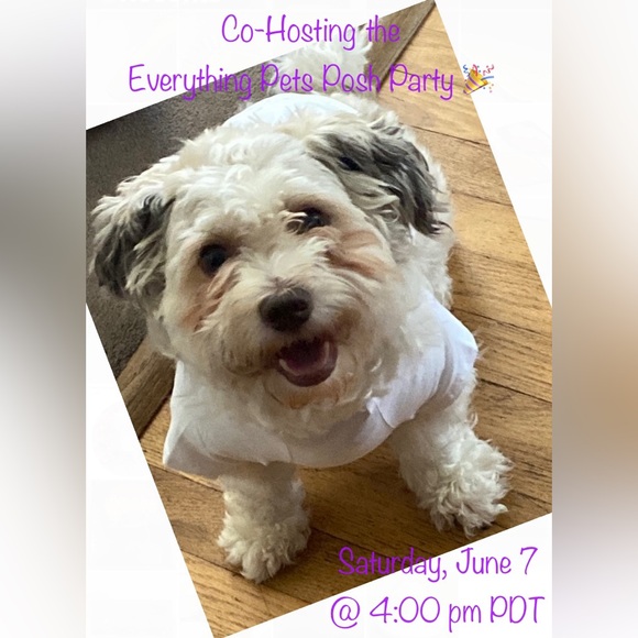 Other - Co-Hosting the Everything Pets Posh Party Sat, 6/7 @ 4:00pm PDT/ 7:00pm EDT!!!!🎉